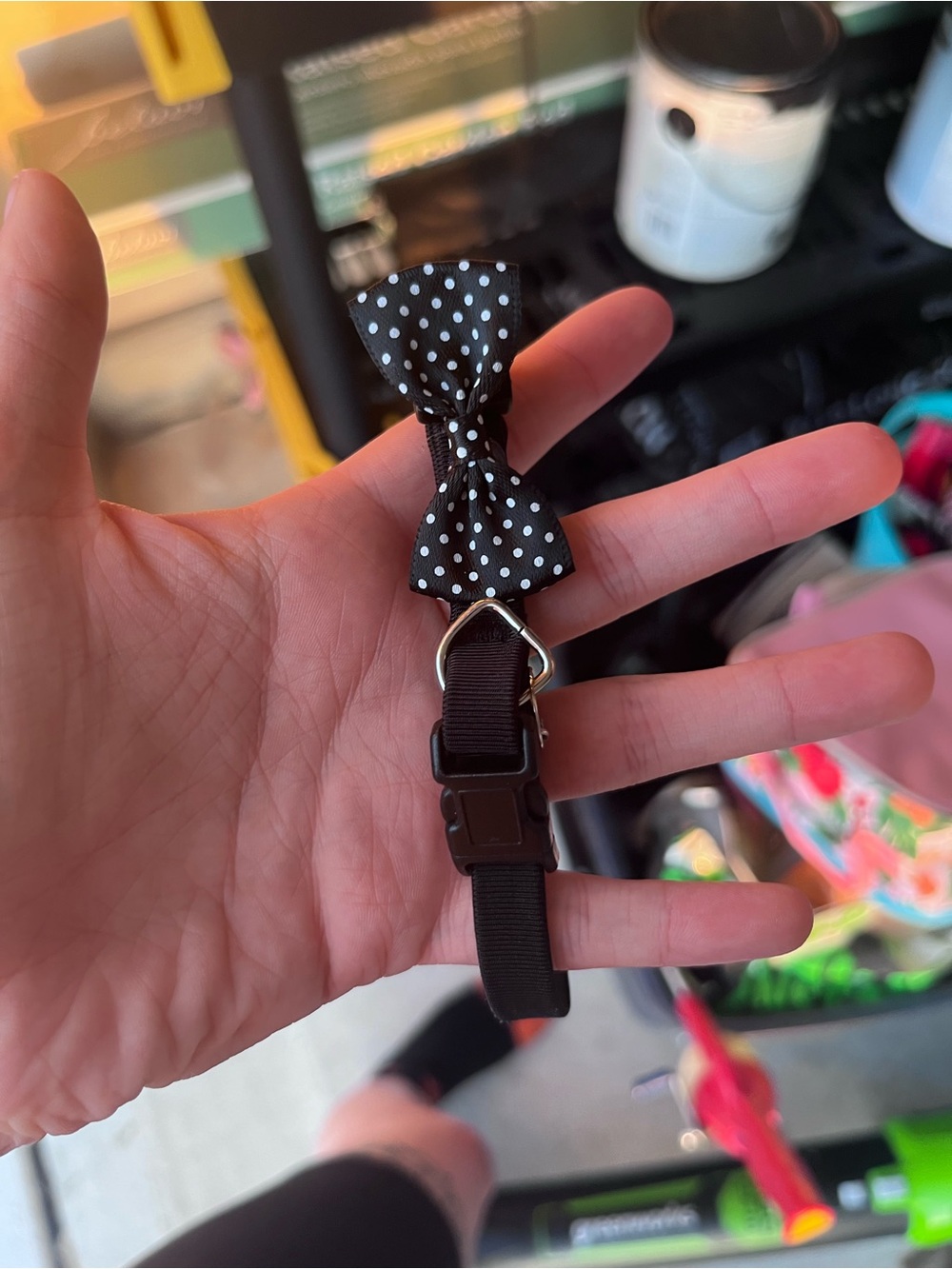 Kids Polka Dot Bow Pet Collar - Black